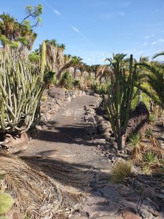2020-10-GC-Cactualdea-PM-NN-17.jpg